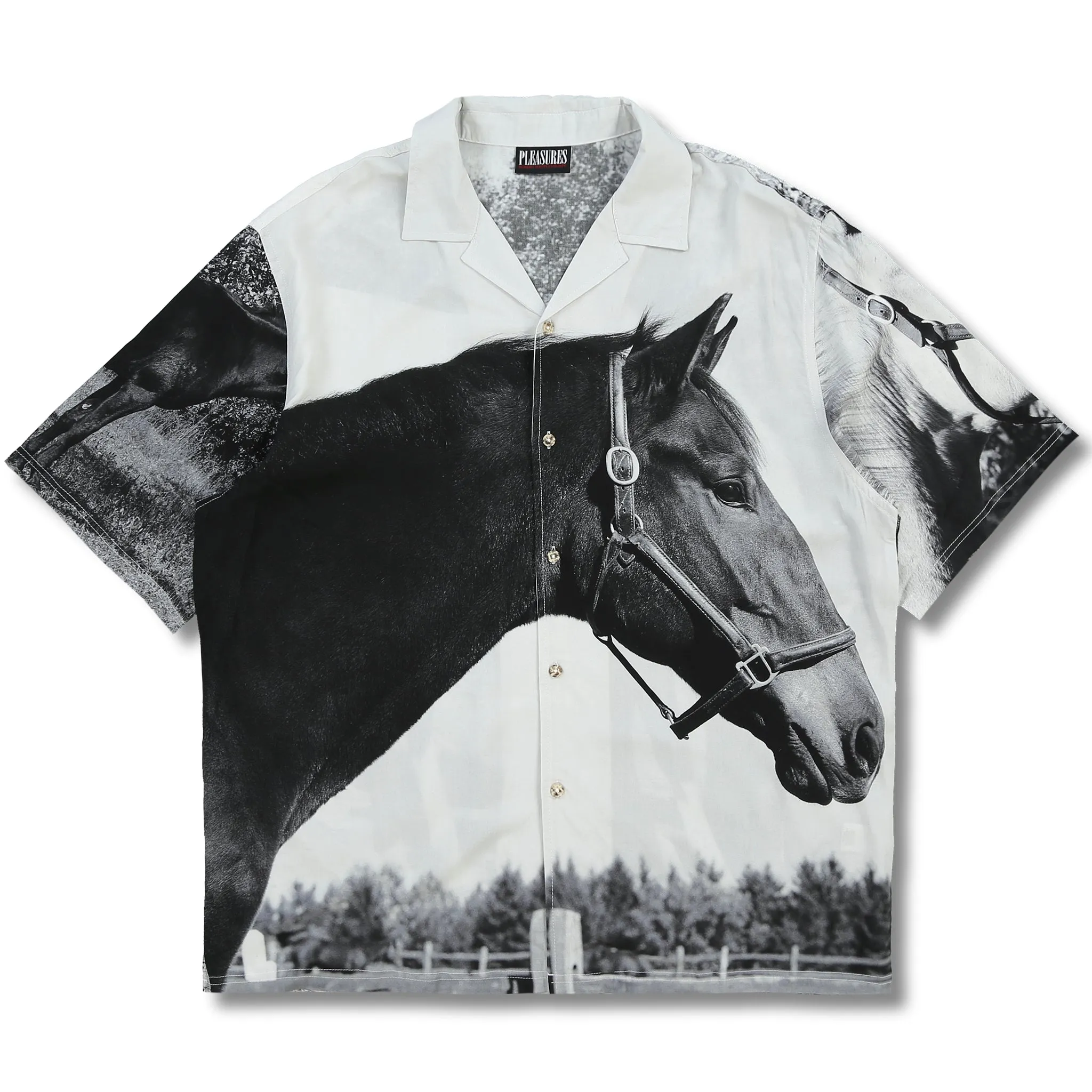 HORSES BUTTON DOWN